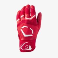 Adult EvoShield Carbyne Batting Gloves